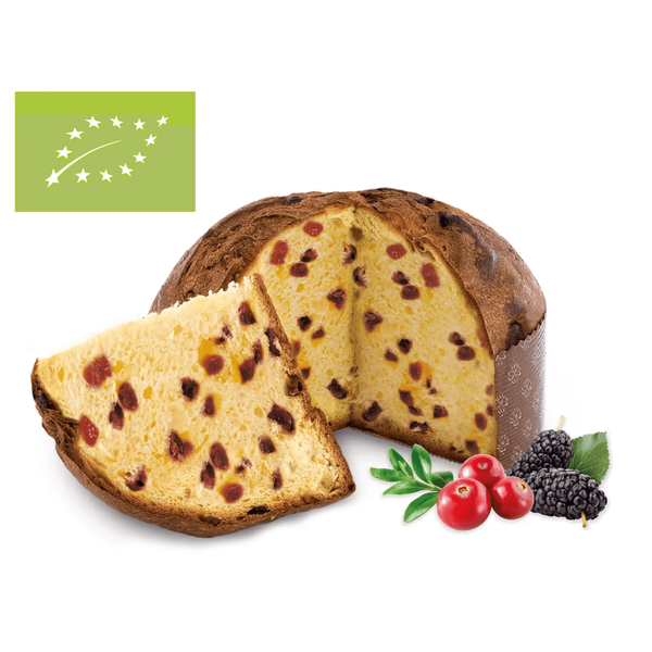 Włoska babka Panettone z żurawiną i czarna porzeczką Mirtilli Rossi 750g BIO Fraccaro